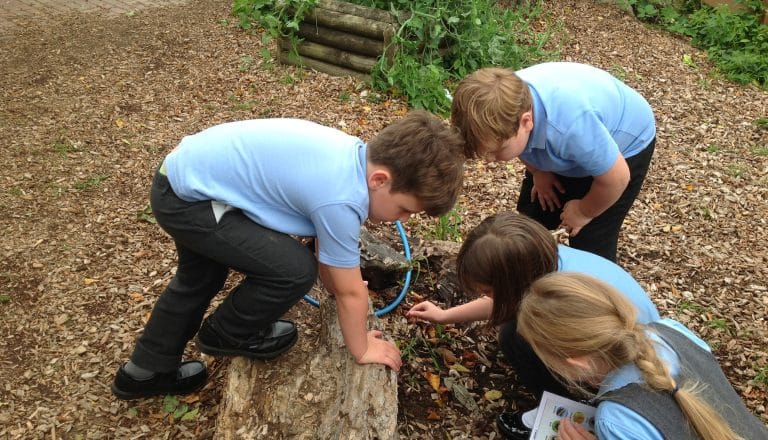 Y2 investigate microhabitats