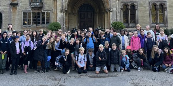 Year 6: Indigo, Lilac & Violet