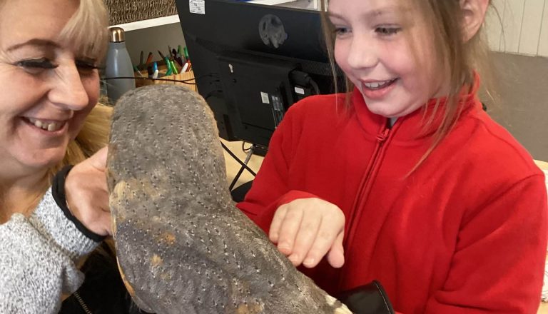 An owl visited The Star!