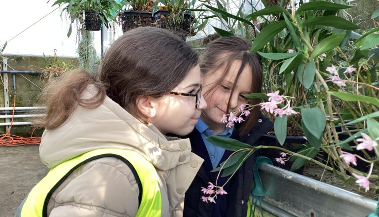 Fern Class visit The Orchid Project