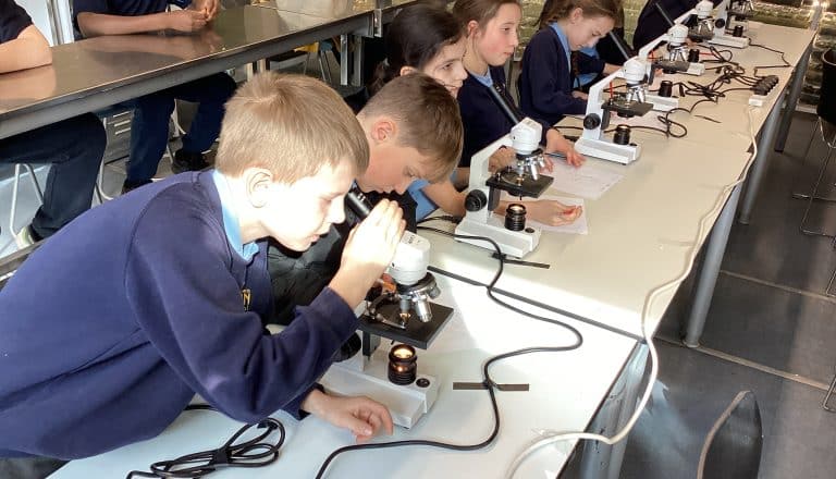 Sky Class – Orchid Project