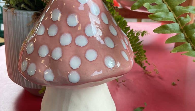 An enchanting adventure awaits you!