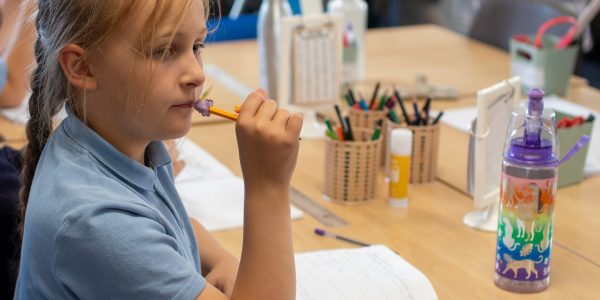 MNSP Trust Information