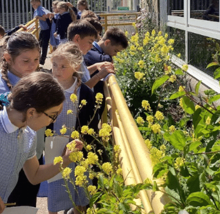 Outside for Science!