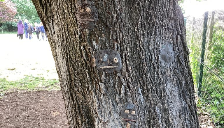 Year 5 – Forest School – Session 3