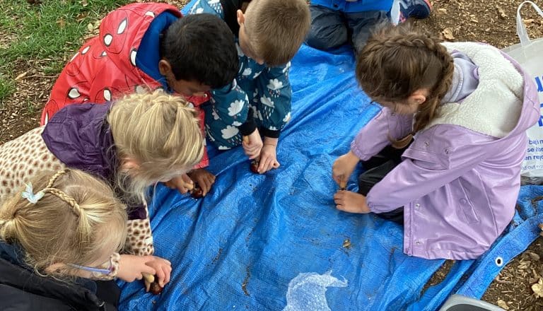 Forest School – Year 1 – Session 2