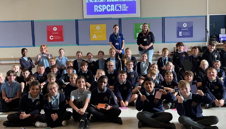 The RSPCA visit Y5 and Y6